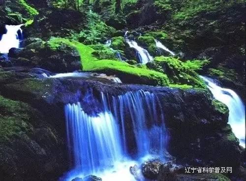 “笑掉下巴”竟是真的？